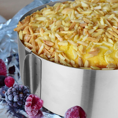 6-12 Inch Adjustable Stainless Steel Cake Mold Ring - Mousse Baking Mould with Collars and Clear Strips