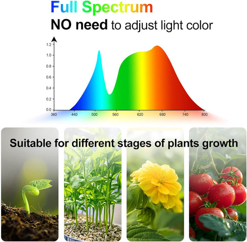 4,8,12,16,20 36 24"-64" Grow Light with Stand and Timer Hr, Watt Standing Tall Plant Light for Bonsai Tree, Seed