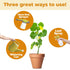 5-10-5 8oz (250ml) Fertilizer for Plants, Great for Root Vegetables, Fruiting Vegetables, and Flowers, Plant Fertilizer
