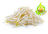 1 Todds Seeds - Mung Bean Sprouting Seed - Mung Bean Seeds - Chinese Green Bean - Pound Bulk Seeds