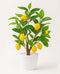 AceList Artificial Lemon Tree with White Pot, 18 Faux Citrus Plant for