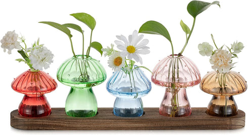 Glasseam Mushroom Plant Propagation Stations: Glass Terrarium Jars with Wood Stand -