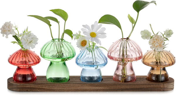Glasseam Mushroom Plant Propagation Stations: Glass Terrarium Jars with Wood Stand -