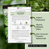 Packet (1) Sow Right Seeds - Little Gem Lettuce Seeds for Planting - Non-GMO Heirloom with Instructions to Plant a Home