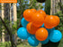 Jonhamwelbor 12 Inch Orange Balloons - 100 Pack Latex Balloons for Halloween Autumn Party Decoration