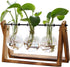 XXXFLOWER Plant Terrarium with Wooden Stand, Air Planter Bulb Glass Vase Metal