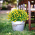 8 Bundles Artificial Flowers, UV Resistant Fake Plastic Plants for Indoor Outdoor Home Kitchen Office Wedding D cor