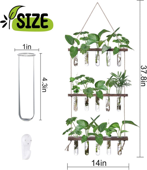 5 3 XXXFLOWER Wall Hanging Propagation Station with Wooden Stand Glass Test Tubes Tiered Planters Wall Terrarium
