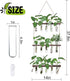 5 3 XXXFLOWER Wall Hanging Propagation Station with Wooden Stand Glass Test Tubes Tiered Planters Wall Terrarium