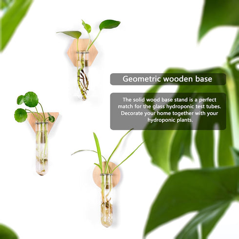 MITIME Wall Hanging Planter Glass Plant Propagation Station,Geometric Wooden Stand for Home Office Decoration.