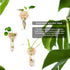 MITIME Wall Hanging Planter Glass Plant Propagation Station,Geometric Wooden Stand for Home Office Decoration.