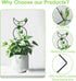 HENABLE 4 Packs 4 Trellis for Climbing Plants Indoor, Small Garden Metal Trellis for Potted Plants Outdoor for Vine Ivy
