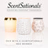 Scentsationals Wax Melts - Honeysuckle Nectar Strong Scented Melts for Warmer, 10oz (24-Cubes)