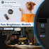 Digital Kitchen Timer, 3.8'' Large LED Display, Adjustable Volume, Easy for Cooking/Study/Exercise