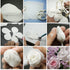 KALAIEN Rose Flower Cutters Set: Gumpaste Flowers Modelling Tools for Cake Decorating, 6 Plunger Cutter Mold