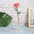 24k Rose Display Stand - Heart-Shaped Stand for Single Real Roses or Artificial Flower Base, Transparent Shelf Support
