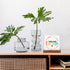 LHIUEM You are Enough Motivational Desk Decor, Rainbow Inspirational Sign with Wood Stand (4”x 4“)