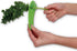 HIC Kitchen Herb Prepper Stripper Mezzaluna Chopper, BPA Free Kitchen Tool