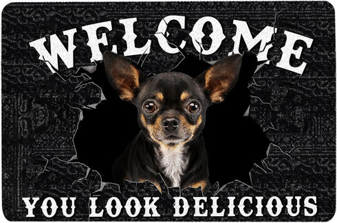 You Look Delicious Door Mat, 16x24 Inch, Non-Slip Rubber Welcome Doormat for Indoor Outdoor Entrance Floor
