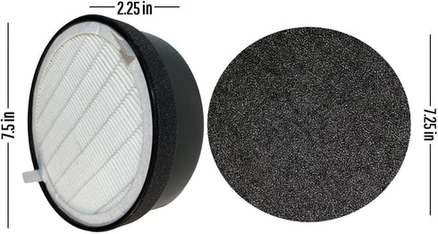 Flintar H13 Grade True HEPA Replacement Filters for hOmeLabs True HEPA H13 Air Purifier HME020248N, 2-Pack