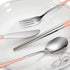 Travel cutlery set, 18/8 stainless steel cutlery, Reusable utensils set with case, Portable Silverware Lunch Box for Camping and Office by inkuleer