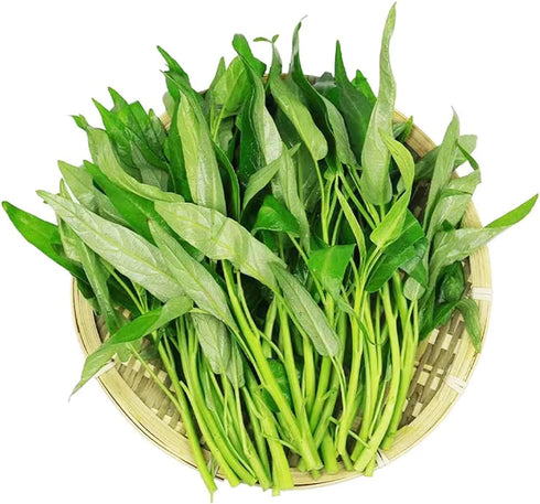1200+ Kong Xin CAI Vegetable Seeds Water Spinach Kangkong Delicious Vegetable Seeds for Green Leaf Planting Garden