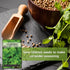 Packet (1) Sow Right Seeds - Cilantro Seeds for Planting - Non-GMO Heirloom with Instructions to Grow a Kitchen Herb