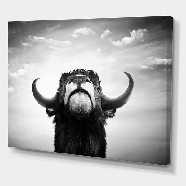 Monochrome Portrait of a Spanish Bull Farmhouse Canvas Wall Art, 12x8, Black