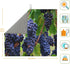 Fruit Purple Grapes Photo Absorbent Dish Drying Mats for Kitchen Reversible Dish Pad Drainer Countertop Mats 18 x 16 In
