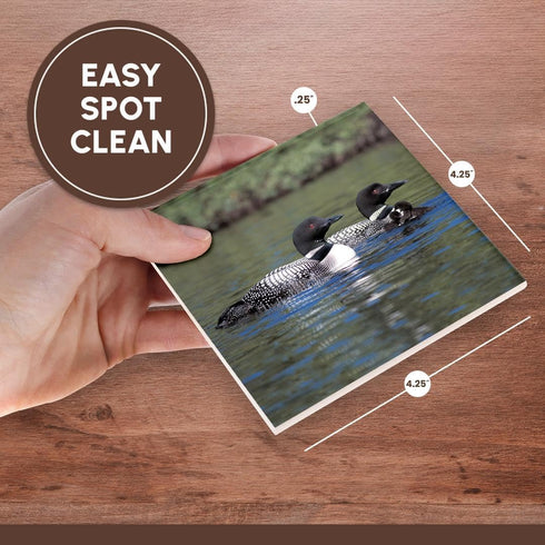 3dRose cst_3106_3 Family of Three Loons - Ceramic Tile Coasters, Set of 4