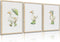 Generic 3Pcs Baby Animal Nursery Wall Art Funny Green Rain Gear Duck Painting