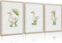 Generic 3Pcs Baby Animal Nursery Wall Art Funny Green Rain Gear Duck Painting