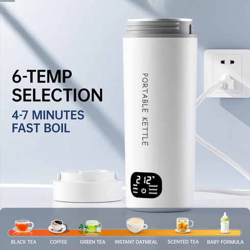 Dual Voltage Portable Electric Kettle, Travel Hot Water for Tea, 6 Temperature Controls, 316 Stainless Steel