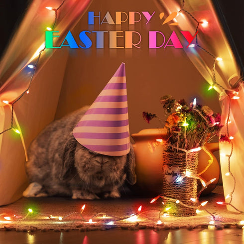 26.5 100 Count Set Easter Decorations Mini String Lights - feet Mini Light on White Wire Plug in End to End Connectable
