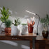 Growing,5000K Starting,Dimmable GooingTop Grow Light for Indoor Plants White Full Spectrum Gooseneck Plant Lamp