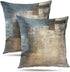 Grey and Beige Abstract Art Pillow Cover, Modern Decorative Throw Cushion for Bedroom Sofa, Set of 2