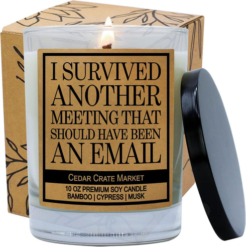 Cedar Crate Market Funny Candles for Women, Men - This Meeting Could Have Been an Email - Gift for Coworkers