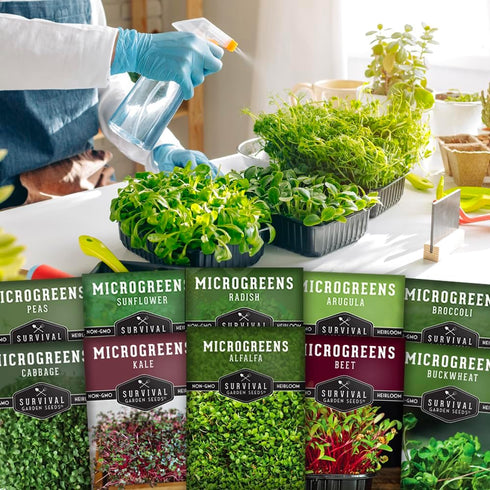 Pack 10 Packs Microgreen Seeds Variety Heirloom Types for Indoor Sprouting Broccoli, Pea, Sunflower, Radish, Kale