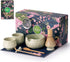 Buucup Matcha Whisk Set, 10 Pcs Matcha Set Includes Matcha Bowl, 2
