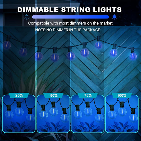 26FT 12+1 Bulbs, LAMPHOME Blue LED Outdoor String Lights, Patio Lights with Shatterproof Edison UL Waterproof