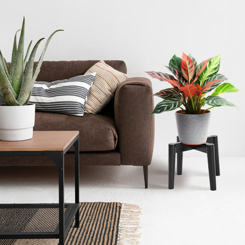 7.5" 9.8" Wood x Plant Stand Indoor Outdoor, Wooden Single Floor Plant Pot Holder, Natural Plant Stand, Assembly
