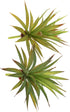 LJY 2 Pieces Realistic Artificial Faux Succulent Yucca Vera Plants for Home Garden Decoration