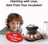 WYD2ANG 12 (M12 Smart Chicken Incubators for Hatching Eggs with Automatic Turner Small Poultry Duck Quail Egg Incubator
