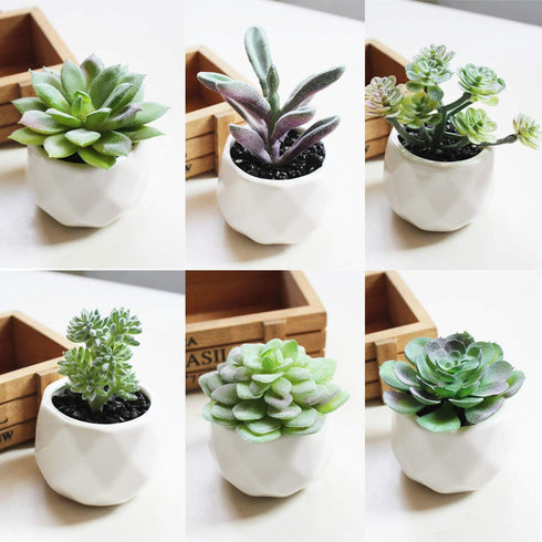 Augshy Artificial Succulents, 16 Pack Fake Plants for Decorative Garden Arrangement
