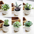 Augshy Artificial Succulents, 16 Pack Fake Plants for Decorative Garden Arrangement
