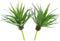 LJY 2 Pieces Realistic Artificial Faux Succulent Yucca Vera Small Plants Unpotted for Home Garden Decoration (Spring