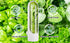 Herb Saver for Refrigerator - Fresh Herb Keeper Pod Containers, Keeps Vegetables Fresh for 2-3 Weeks