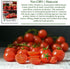 250+ Sweetie Cherry Tomato Seeds (Solanum lycopersicum) Non-GMO & Heirloom Seeds, Extra Sweet Flavor, Ideal