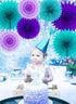 Mermaid Birthday Party Decorations Teal Purple / Wonderland Frozen Party Supplies / Under The Sea Decorations