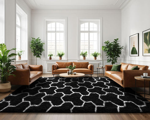 5x8 EVOIONOS Washable Large Area Rug Living Room, Fluffy Shag Rug Bedroom Ultra Soft Plush Non Slip Carpet Indoor Floor